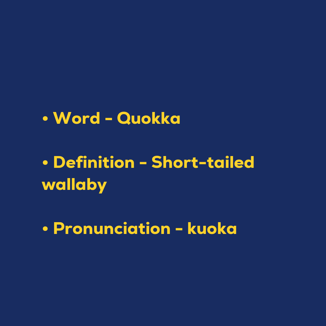 Random Words - Quokka