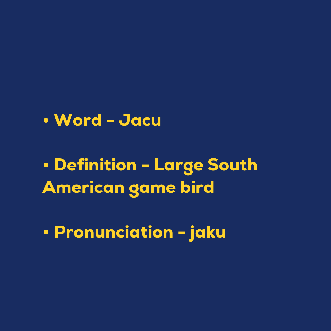 Random Words - Jacu