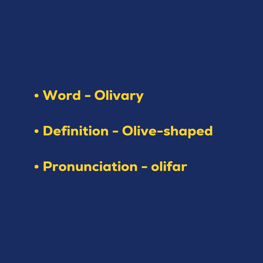 Random Words - Olivary
