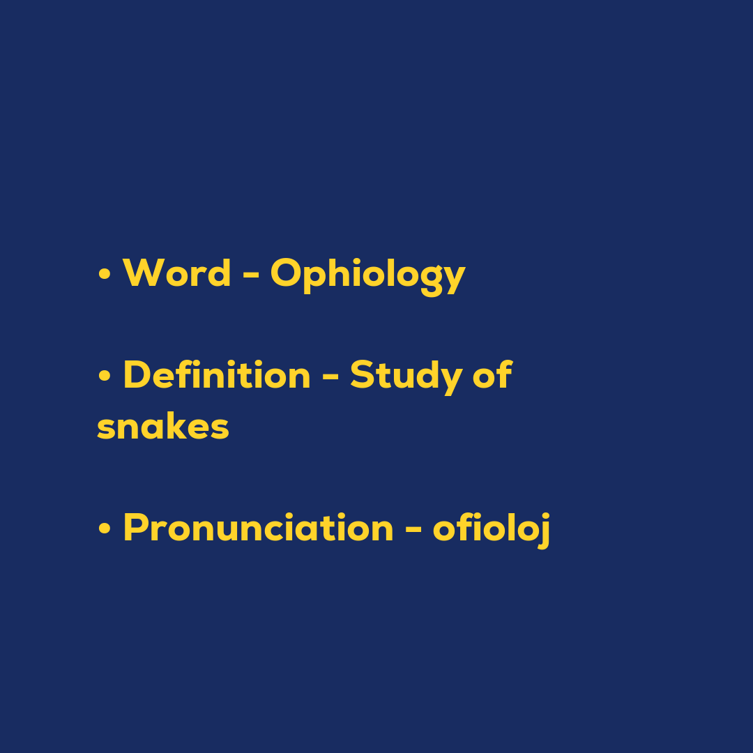 Random Words - Ophiology