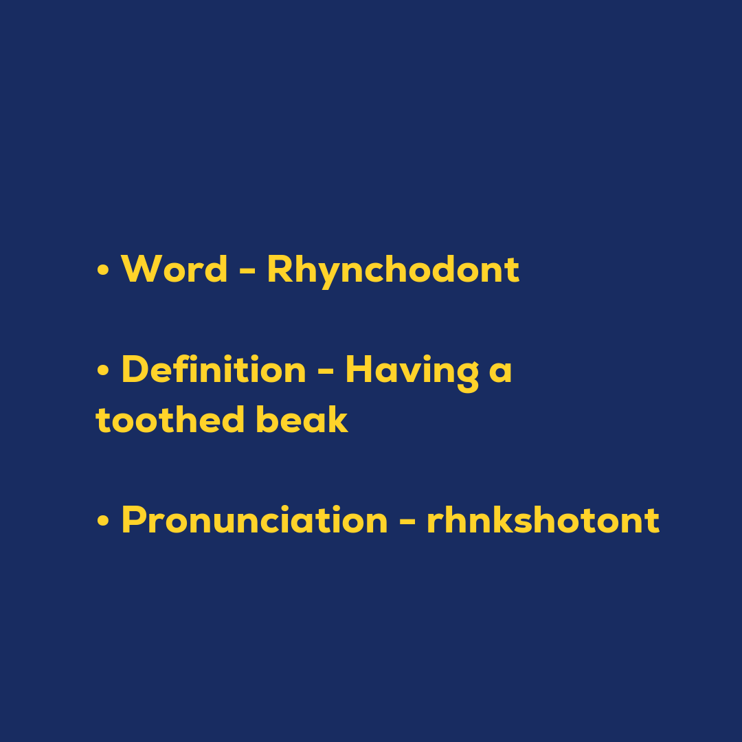Random Words - Rhynchodont