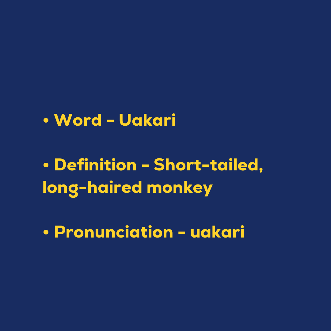 Uakari