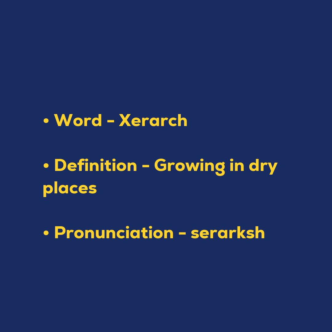 Random Words - Xerarch