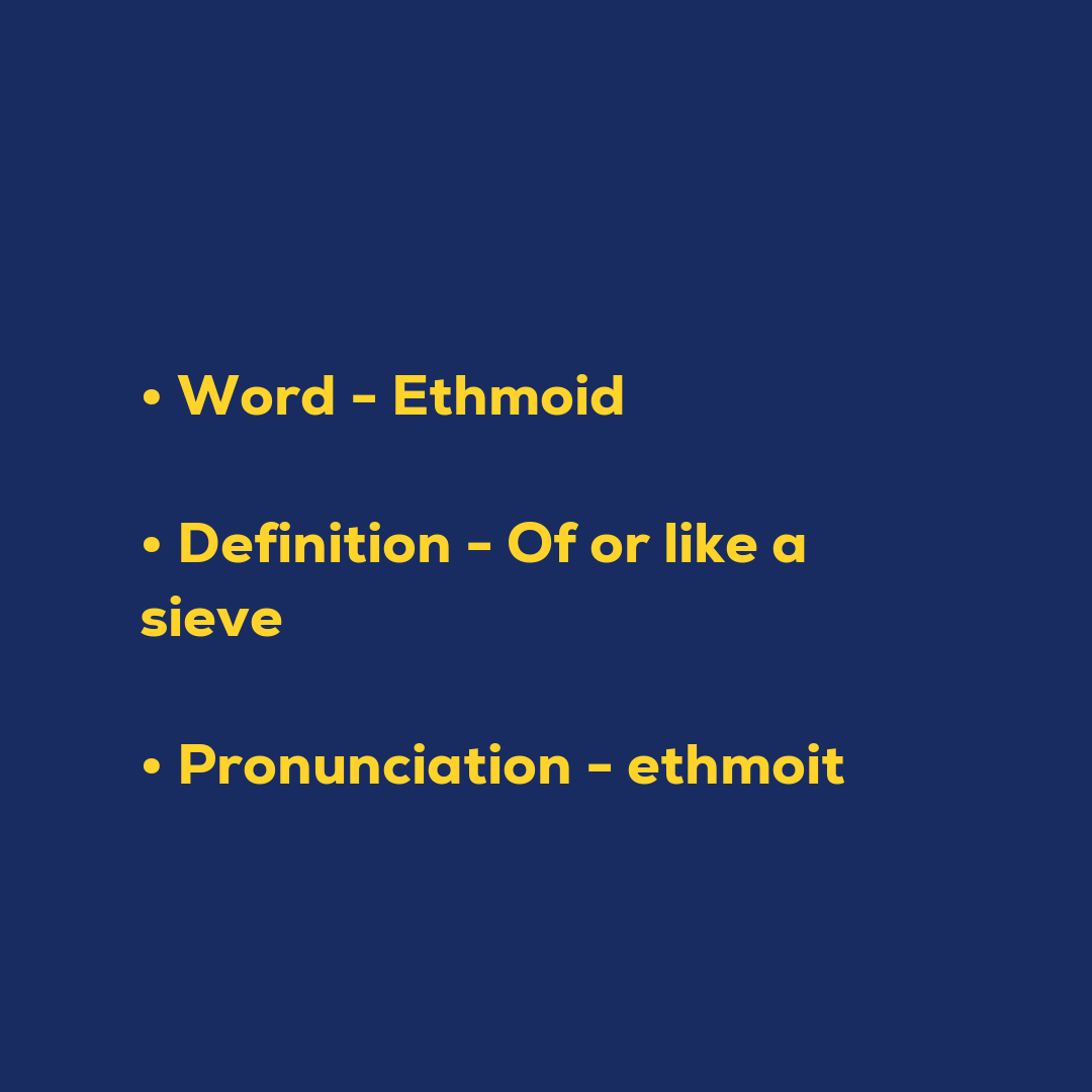 Ethmoid