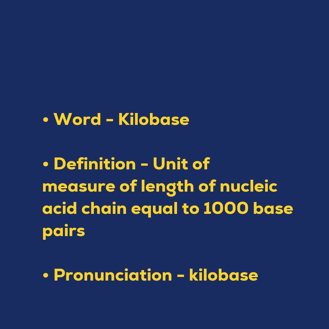 Random Words - Kilobase