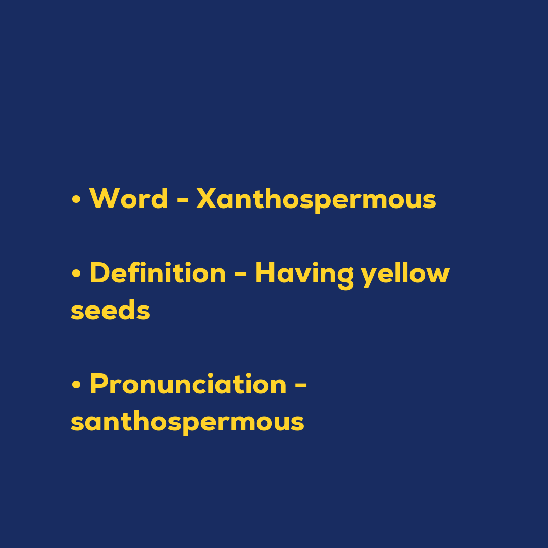 Random Words - Xanthospermous