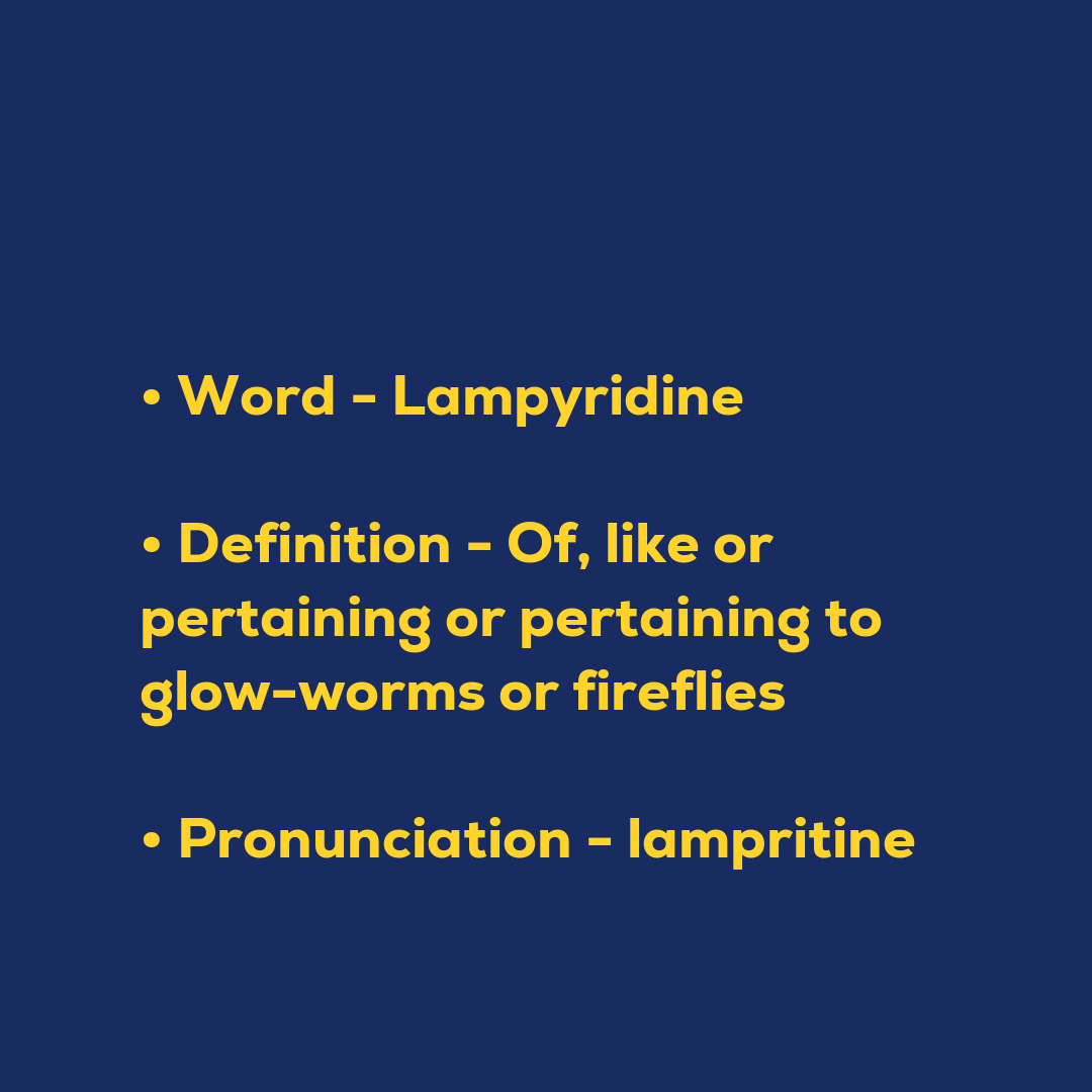 Random Words - Lampyridine