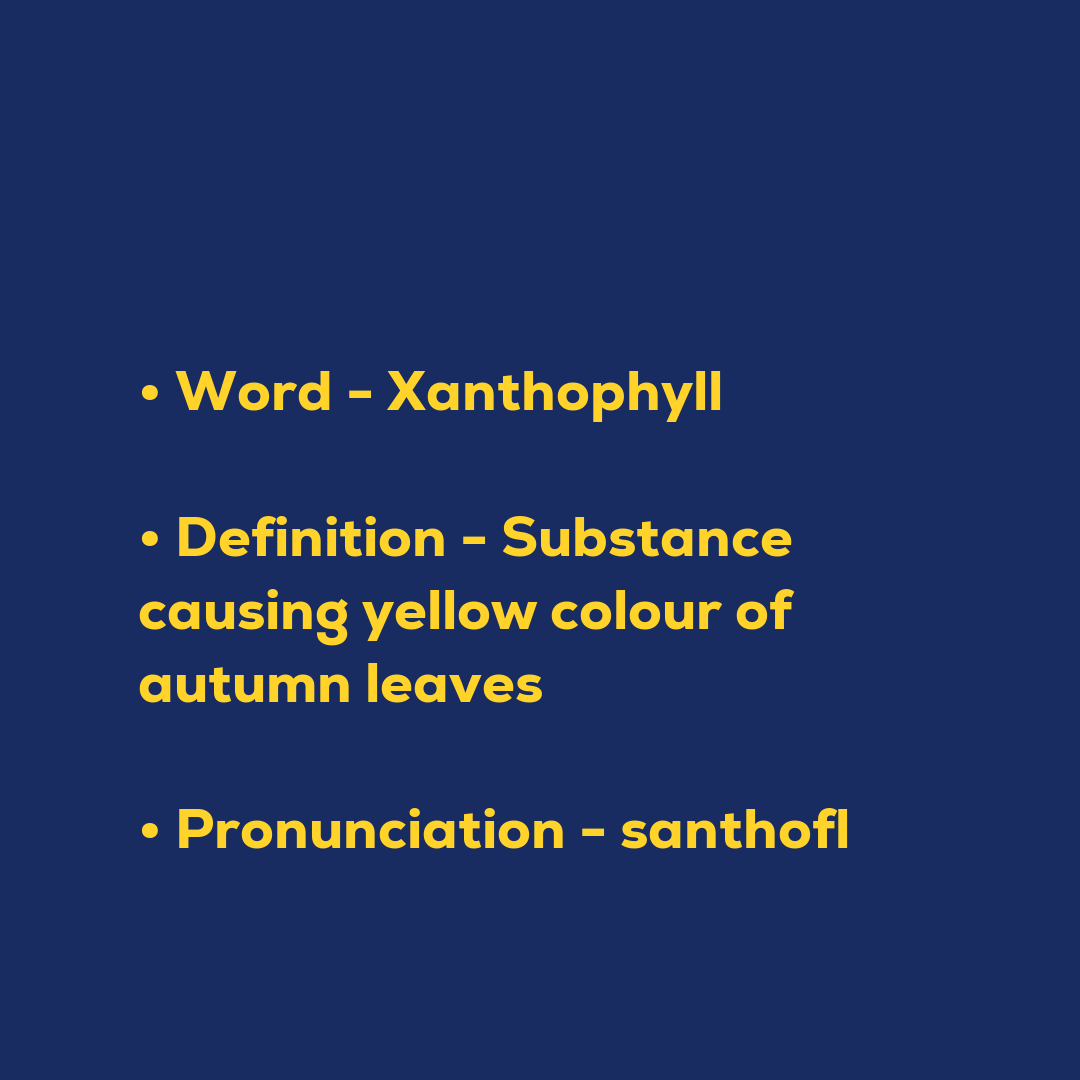 Random Words - Xanthophyll