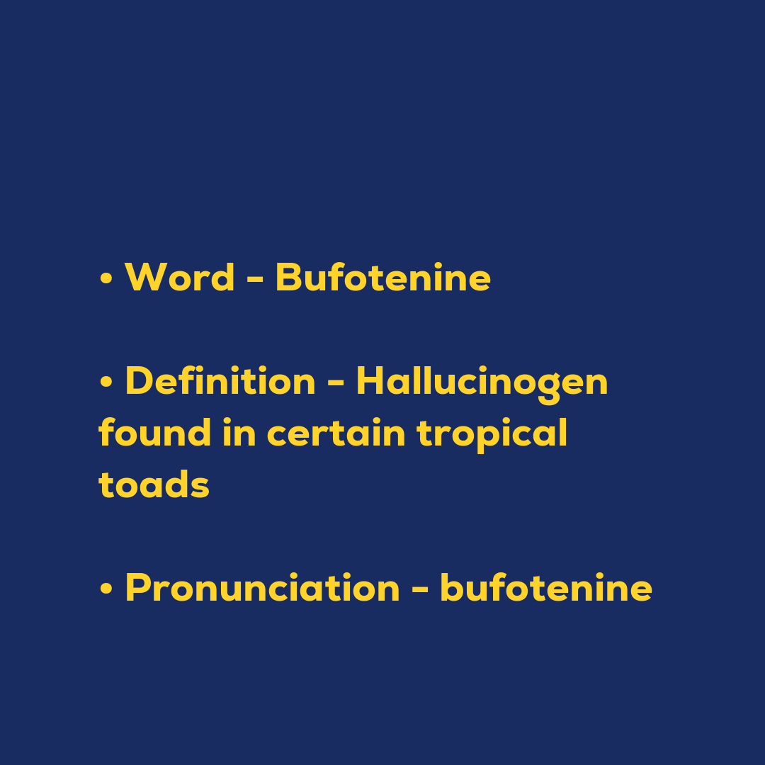 Random Words - Bufotenine