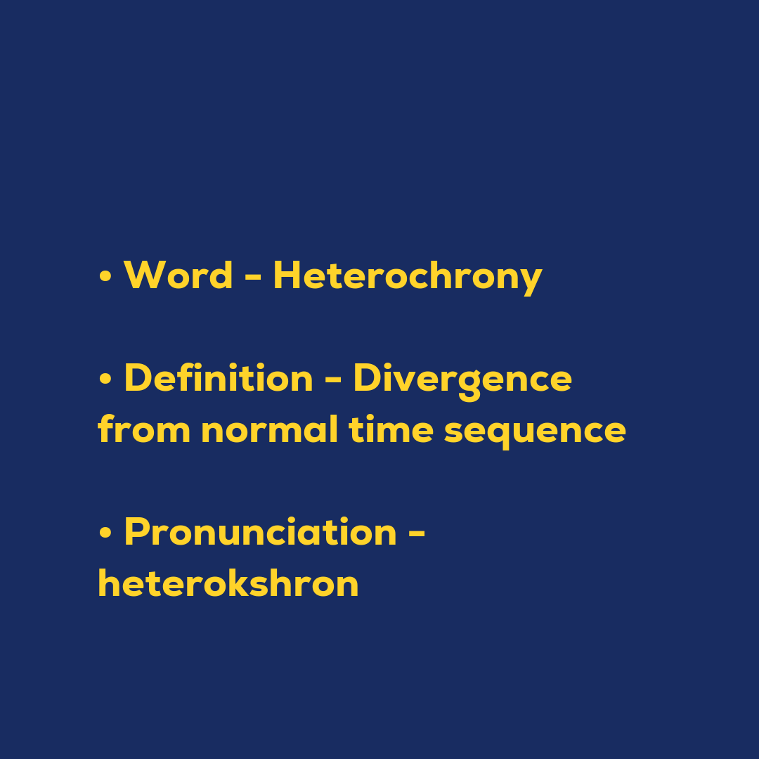 Random Words - Heterochrony
