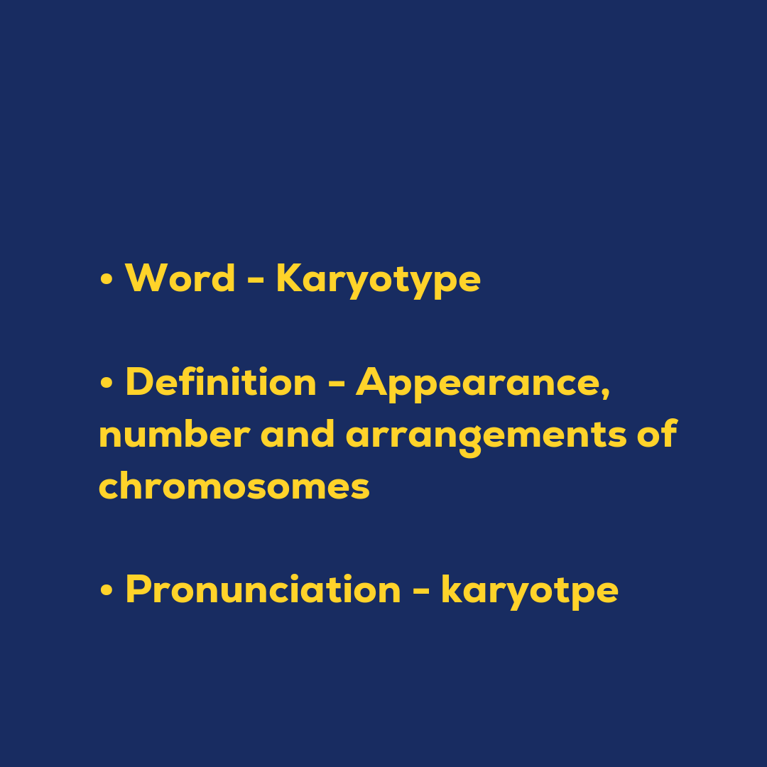 Random Words - Karyotype