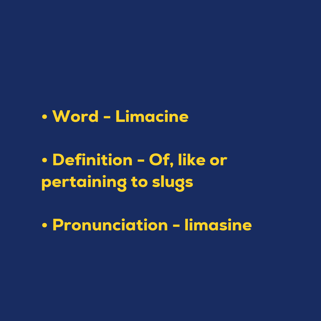 Random Words - Limacine
