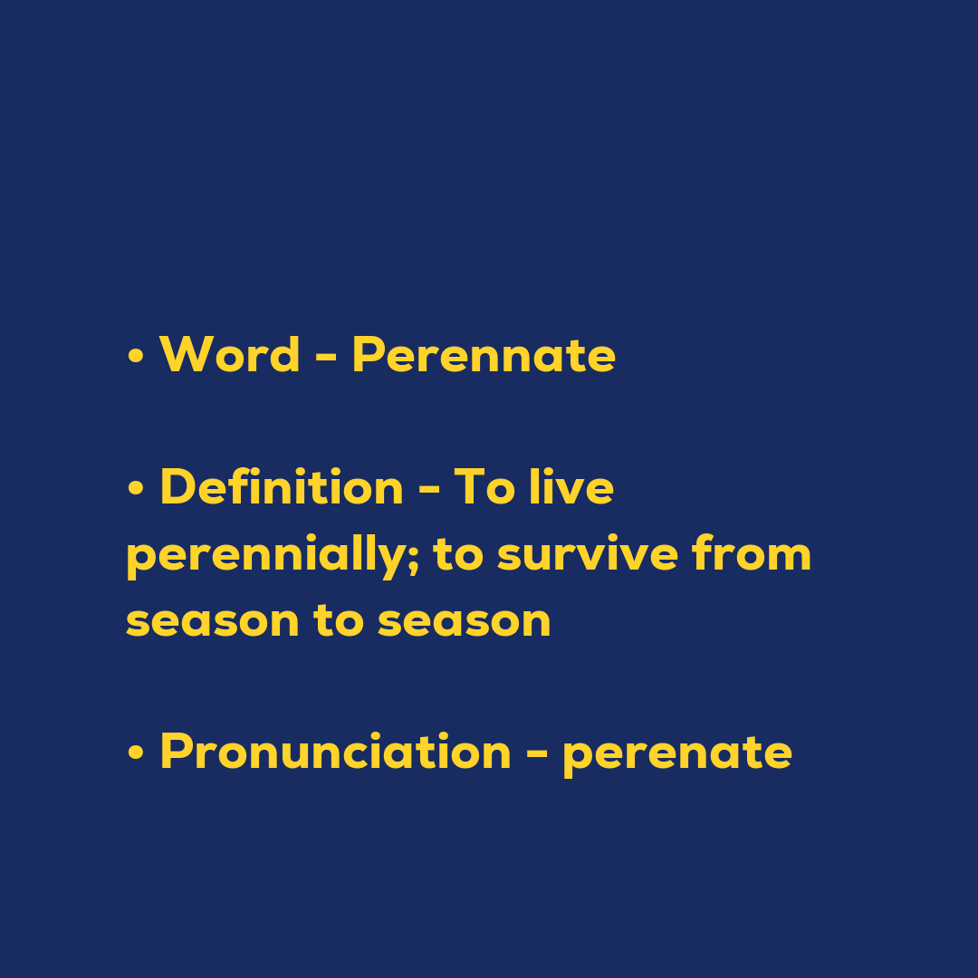 Random Words - Perennate