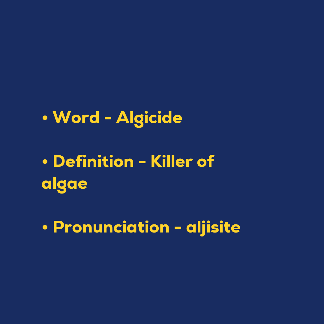 Random Words - Algicide