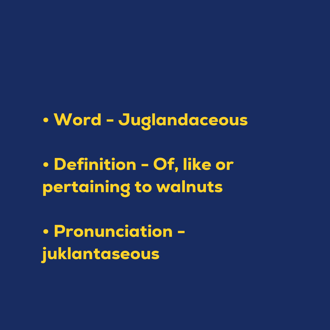 Random Words - Juglandaceous