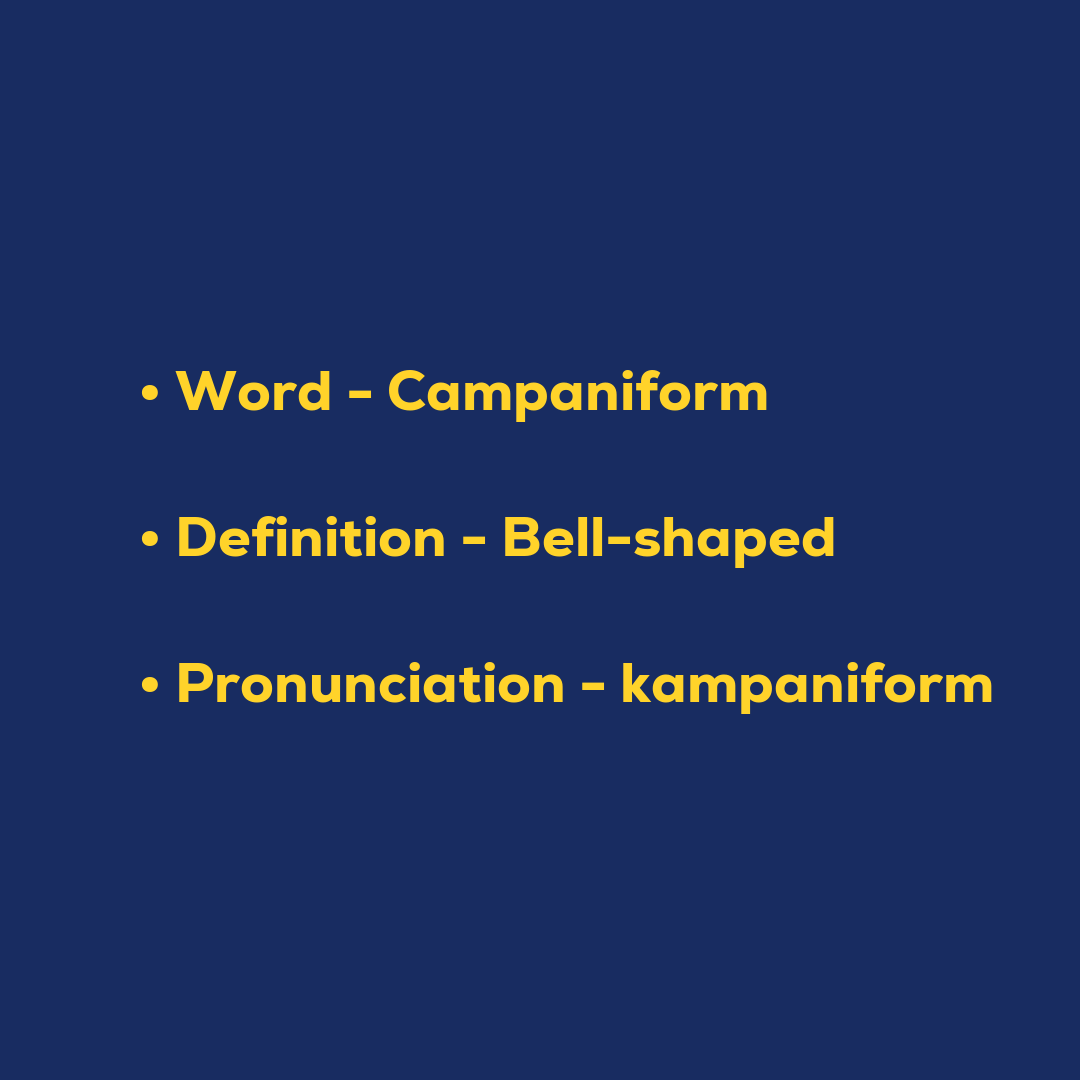 Random Words - Campaniform