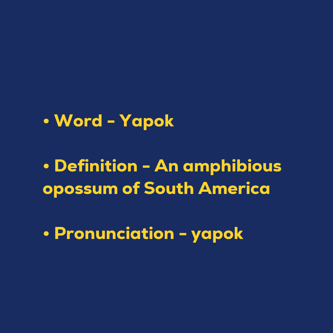 Random Words - Yapok